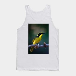 Helmeted Honeyeater Tank Top